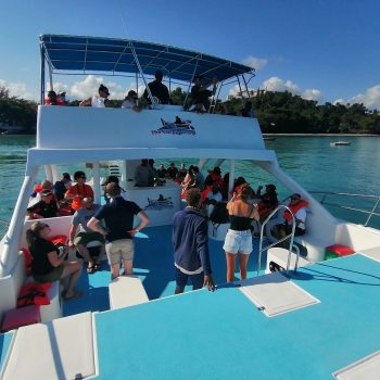 Visitors observing humpback whales from the roof of a double-deck catamaran