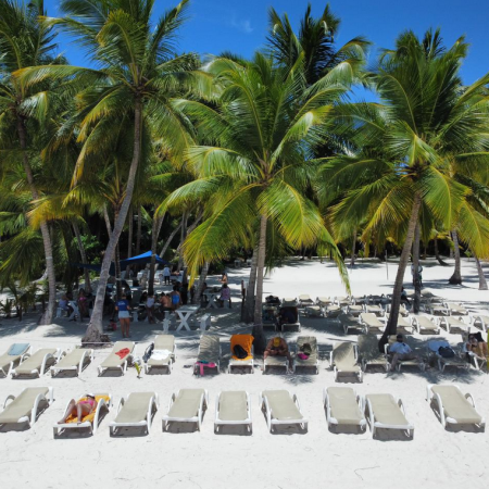 sun loungers beach under palms saona island