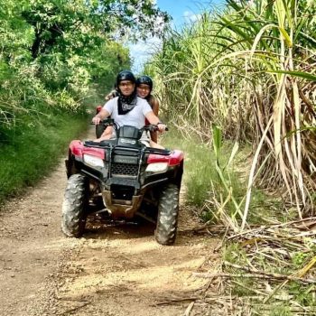 Tourist riding a quad along a narrow trail through sugarcane plants