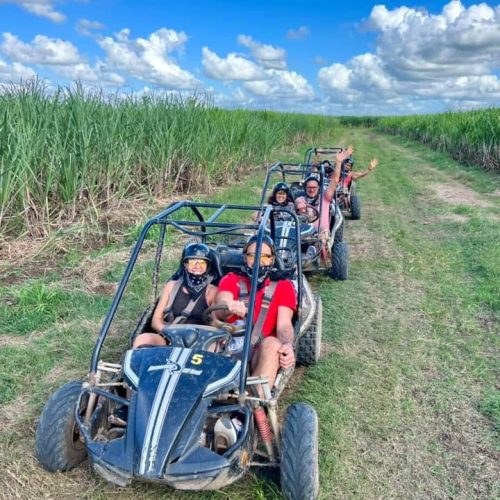 Groupe en buggy au milieu des champs de canne à sucre