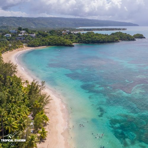 plage de las terrenas vue du ciel, eau turquoise et cocotiers