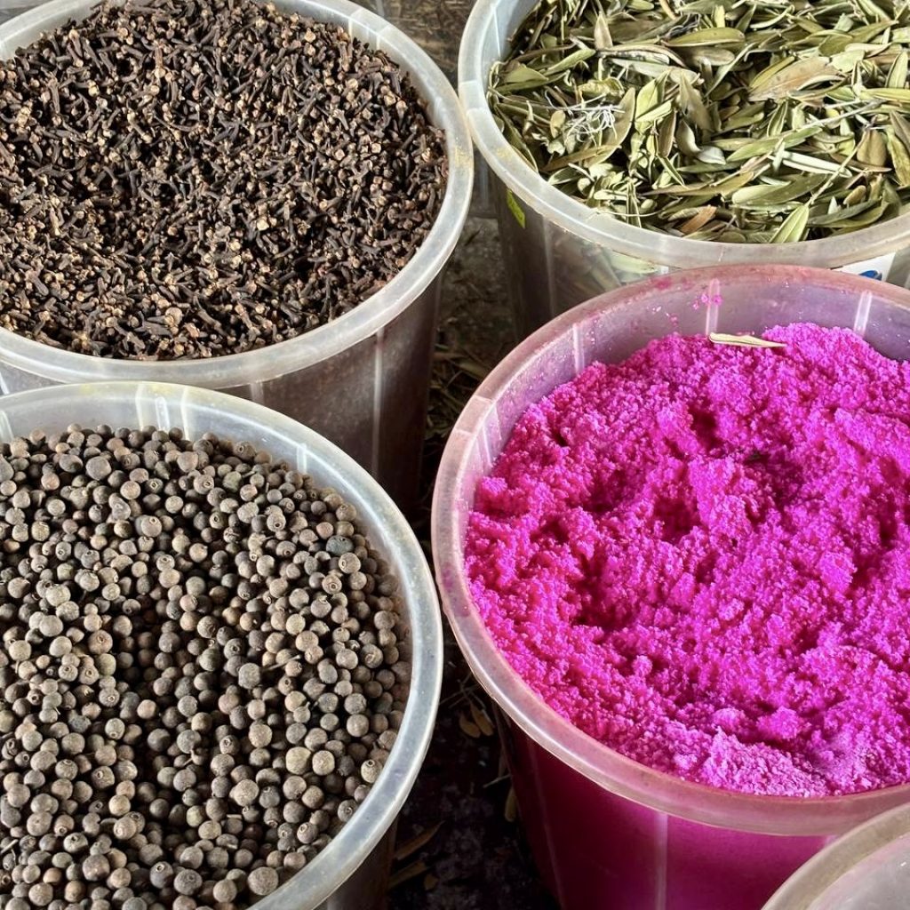 Marché Higuey epices