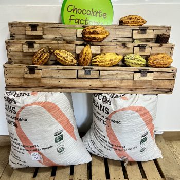 Display of cocoa pods, chocolate bars, and coffee sacks in a local chocolate workshop