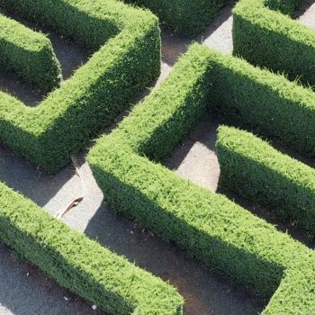 Tropical Maze La Romana