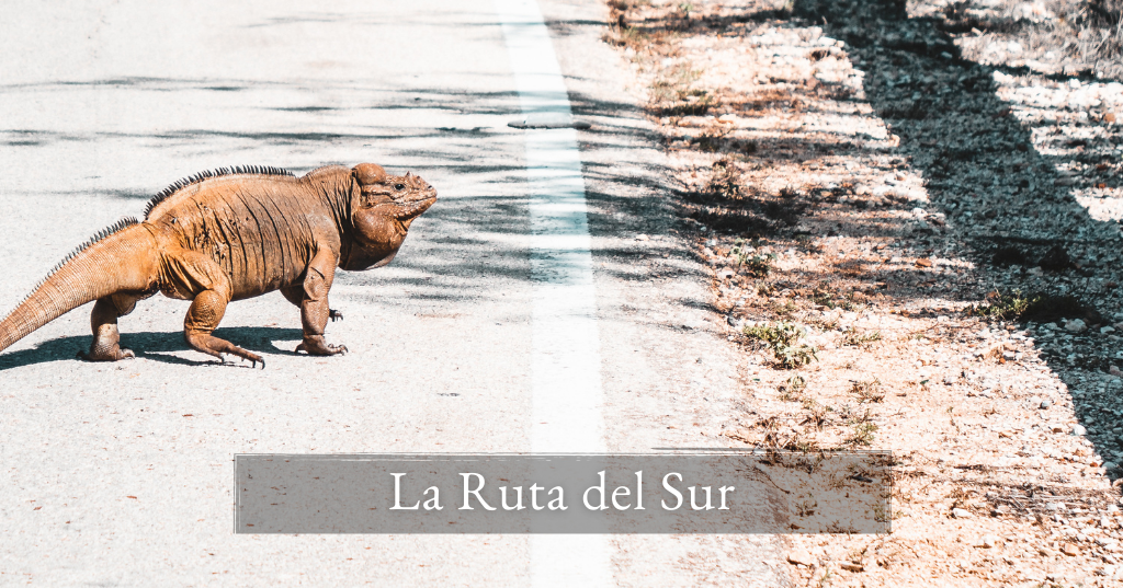 La ruta del sur