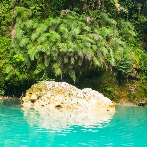 Rio partido - rocher dans l'eau turquoise de la rivière, arrière plan végétation luxuriante