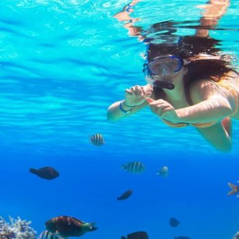 Femme en snorkeling, recif coralien et poissons tropicaux