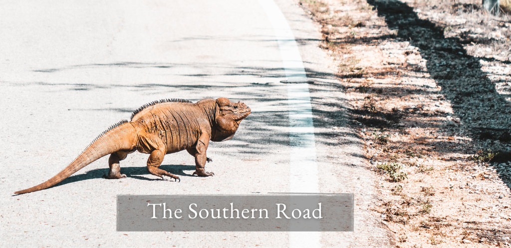 THE SOUTHERN ROAD