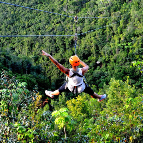 Ligne de tyrolienne, foret luxuriante, femme de dos