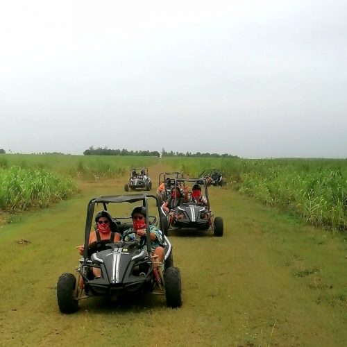 Buggy tour to the sugar cane fields